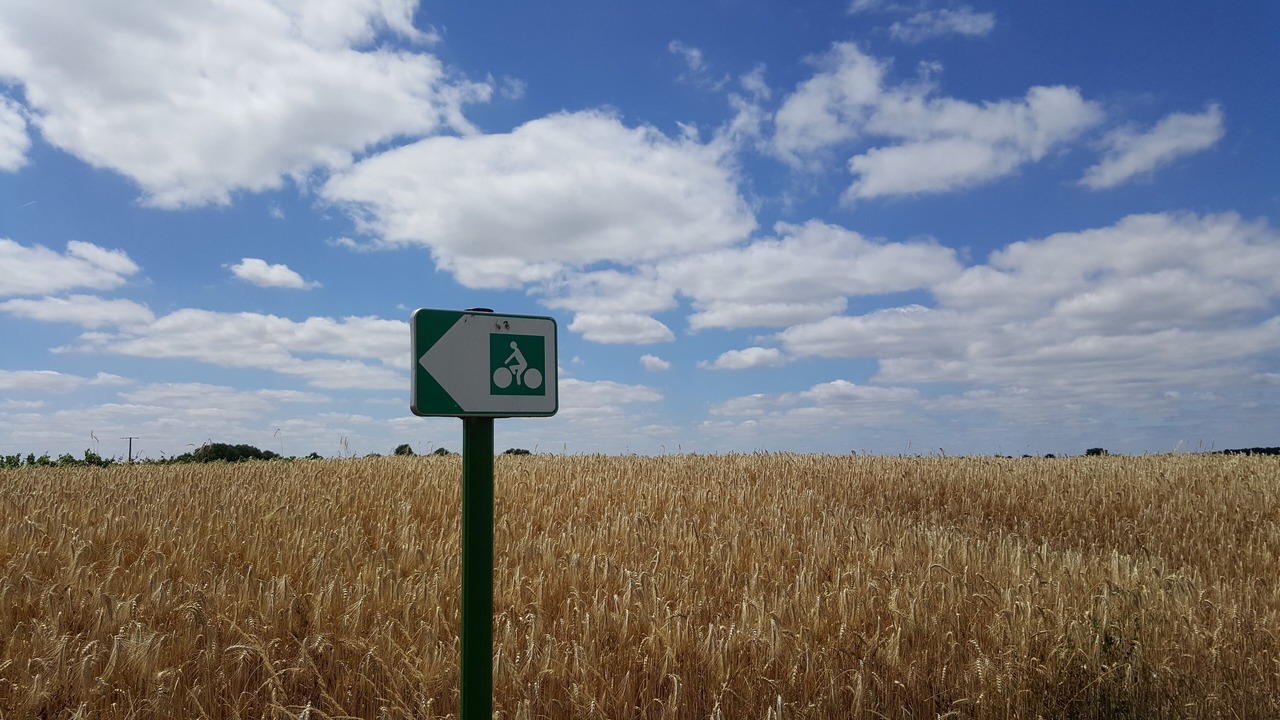 Photo of Outdoor in Bellevigne-en-Layon