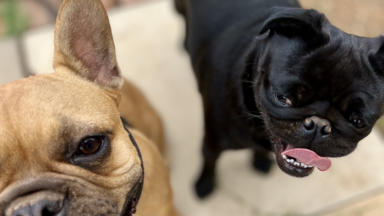 Photo of Others in Penrice