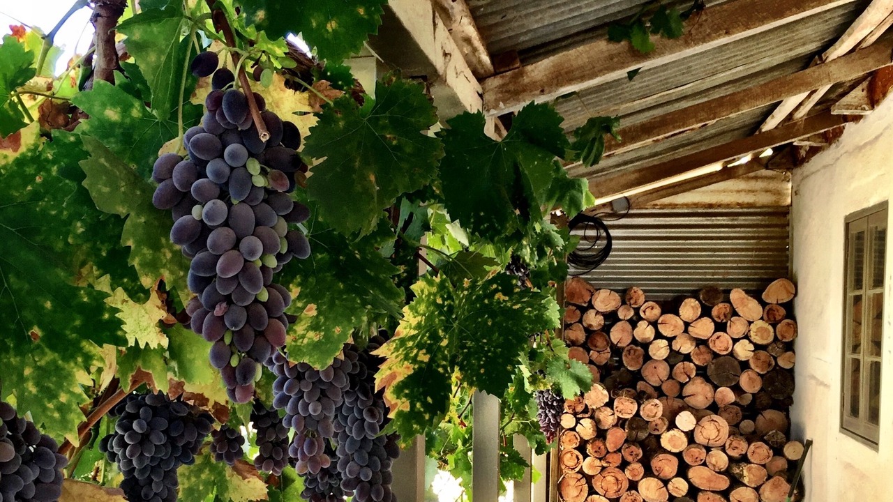 Photo of Others in Penrice