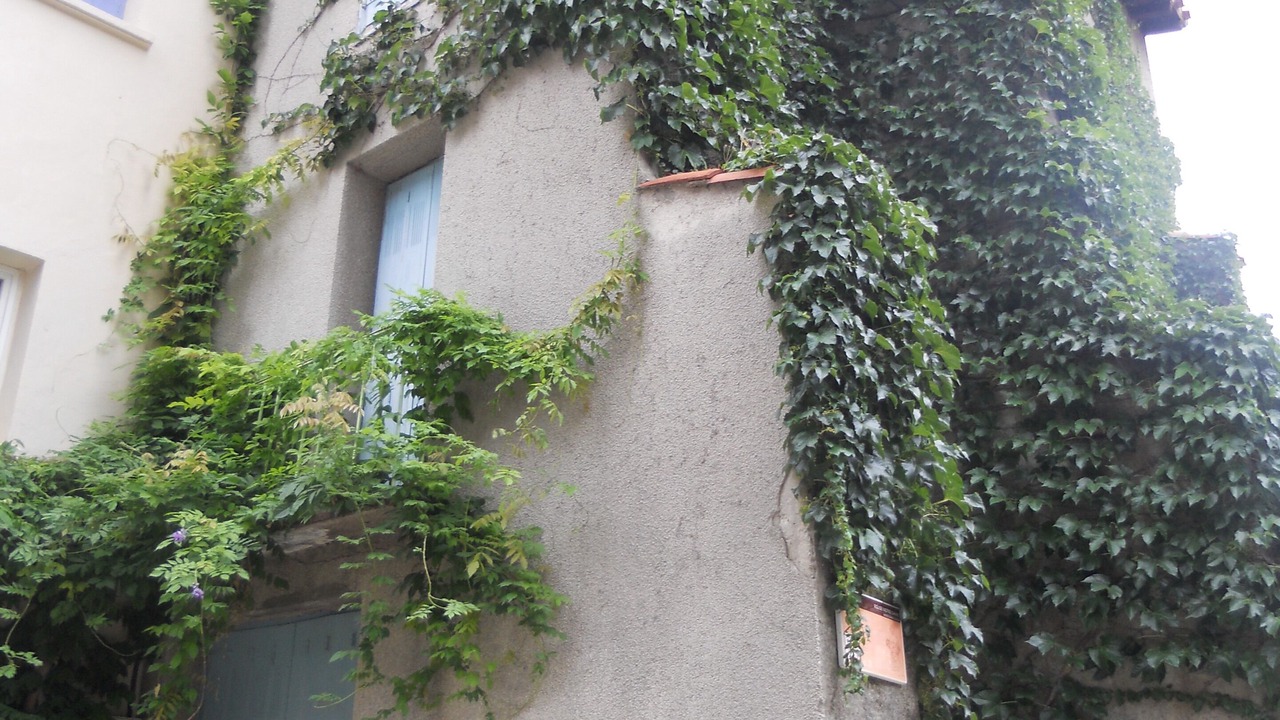 Photo of Outdoor in Quillan