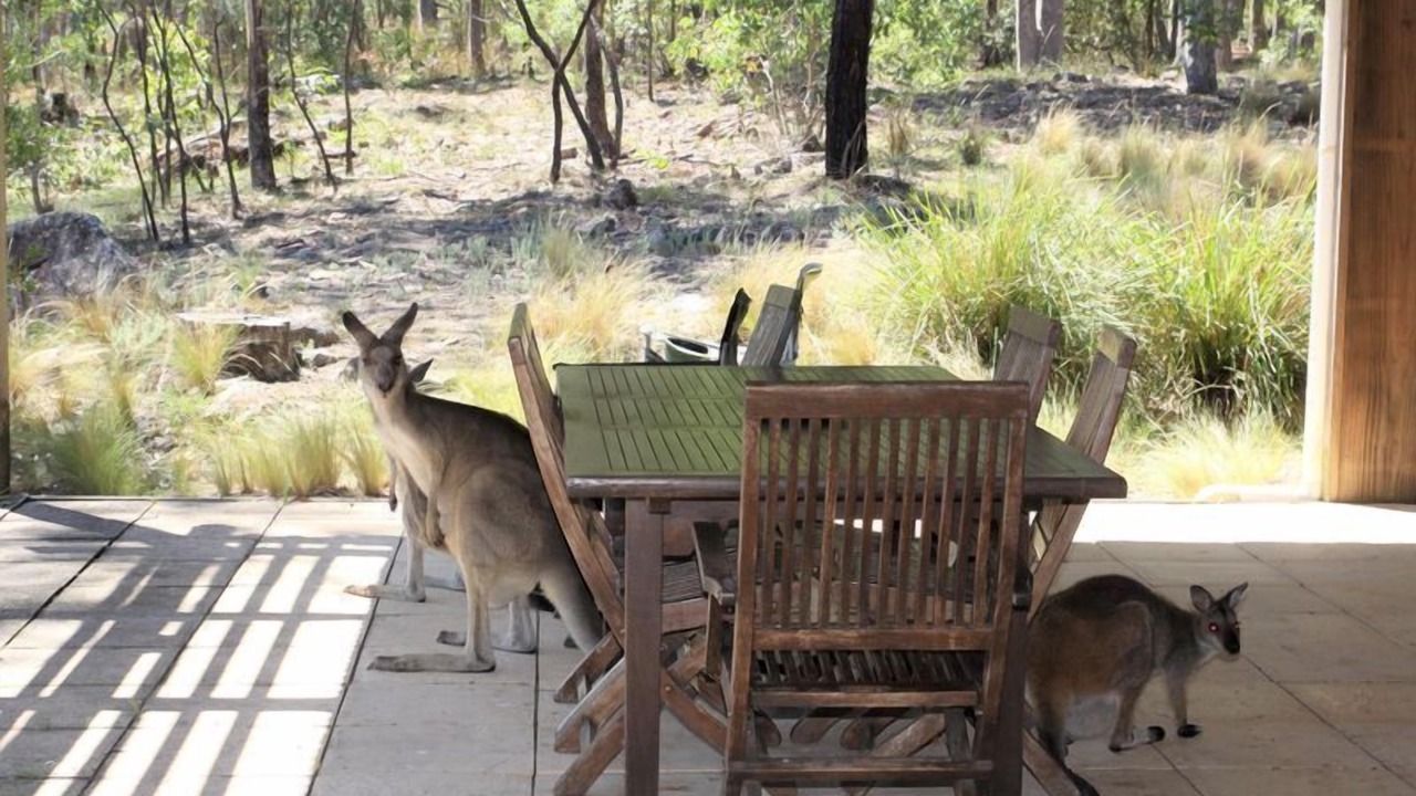 Photo of Outdoor in Vacy