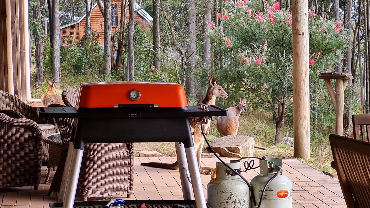 Photo of Outdoor in Vacy