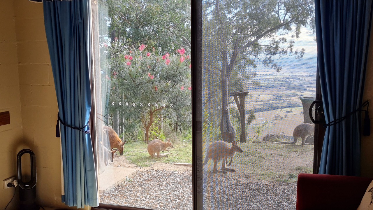 Photo of Others in Vacy