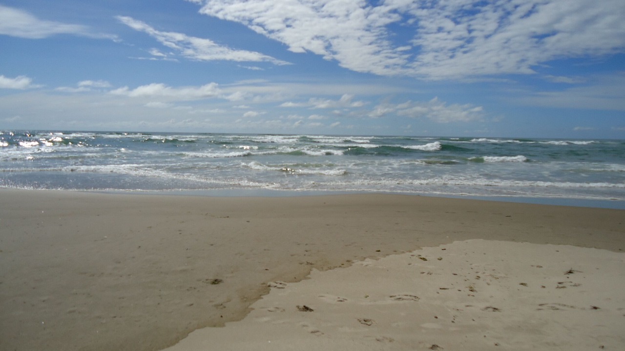 Photo of Others in Waldport