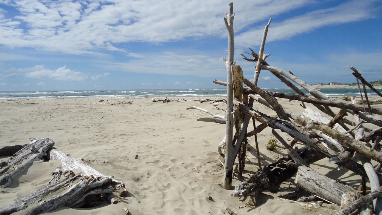 Photo of Others in Waldport