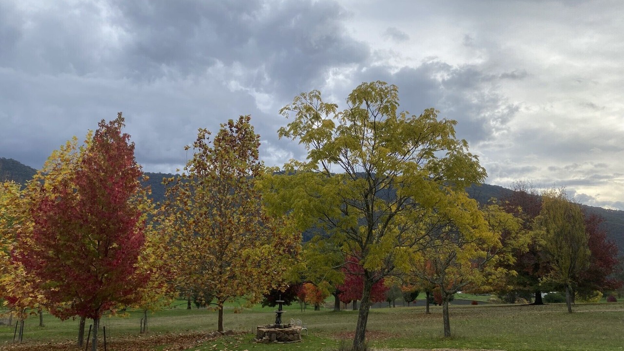 Photo of Others in Freeburgh