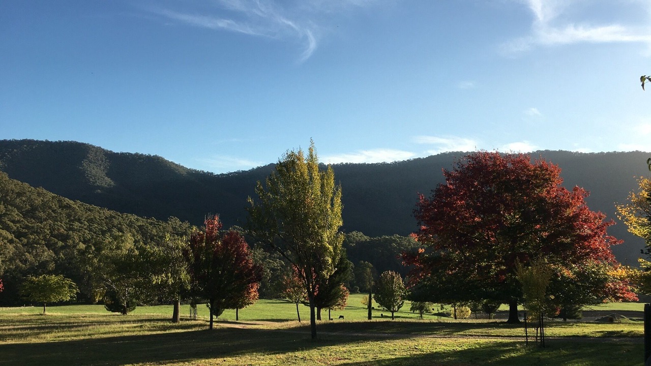 Photo of Others in Freeburgh