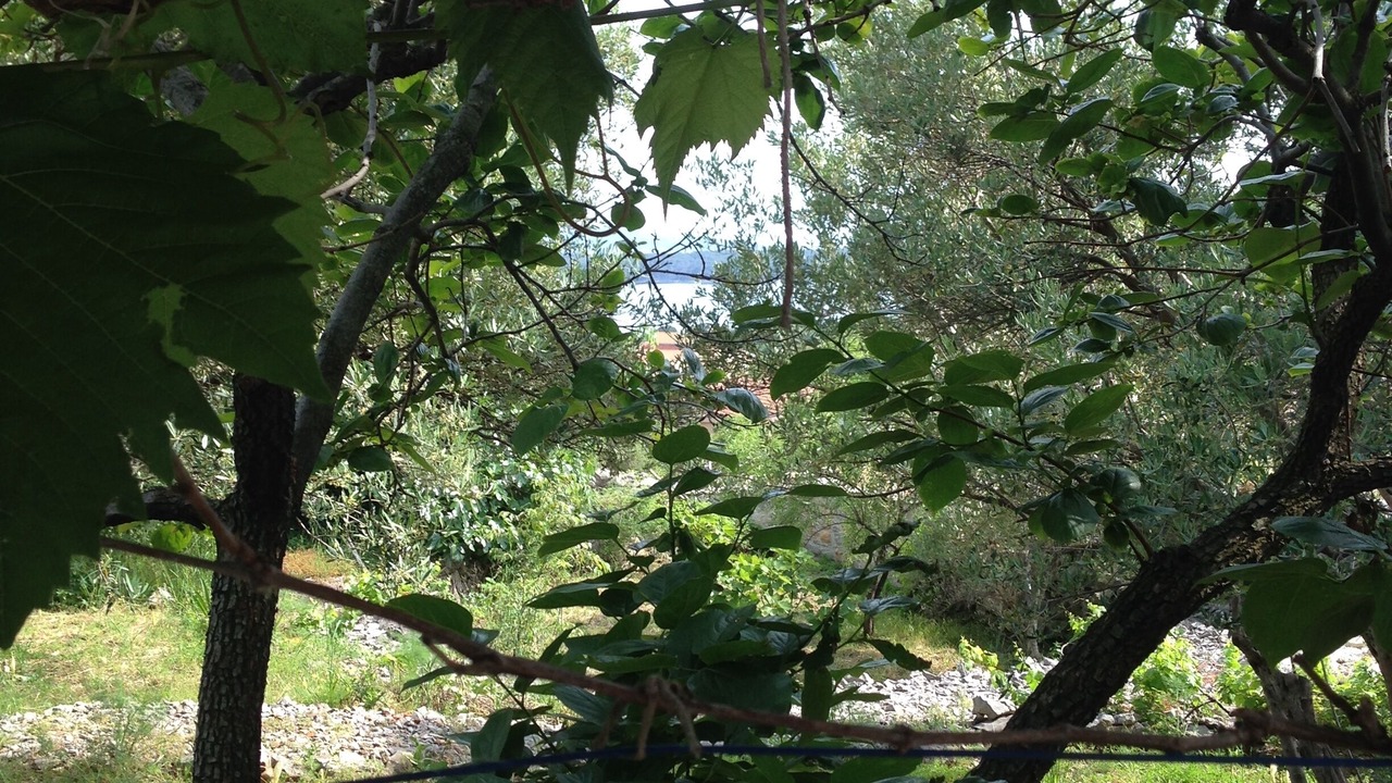 Photo of Outdoor in Kornic