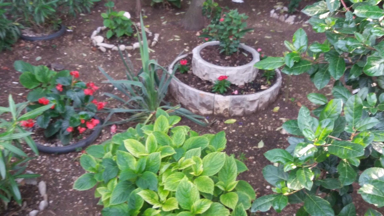 Photo of Outdoor in Split
