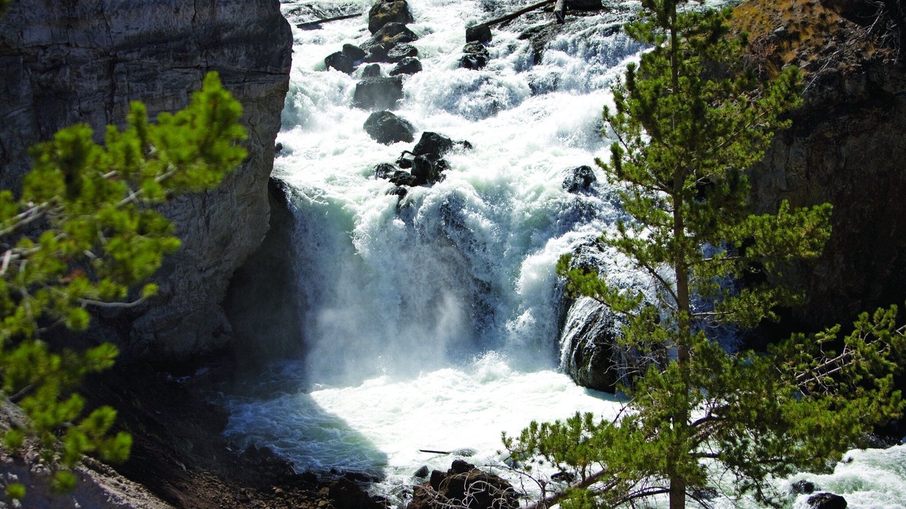 Photo of Outdoor in West Yellowstone
