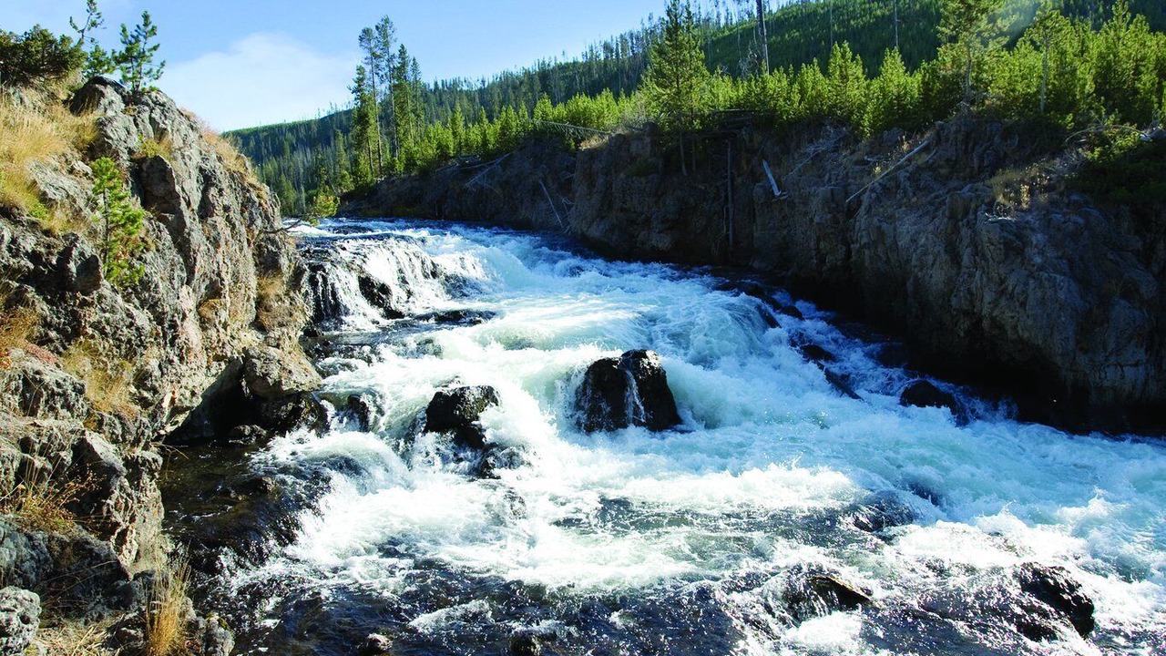 Photo of Others in West Yellowstone