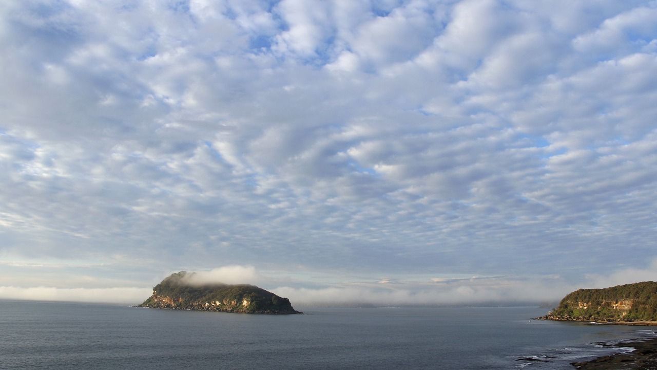 Photo of Others in Pearl Beach