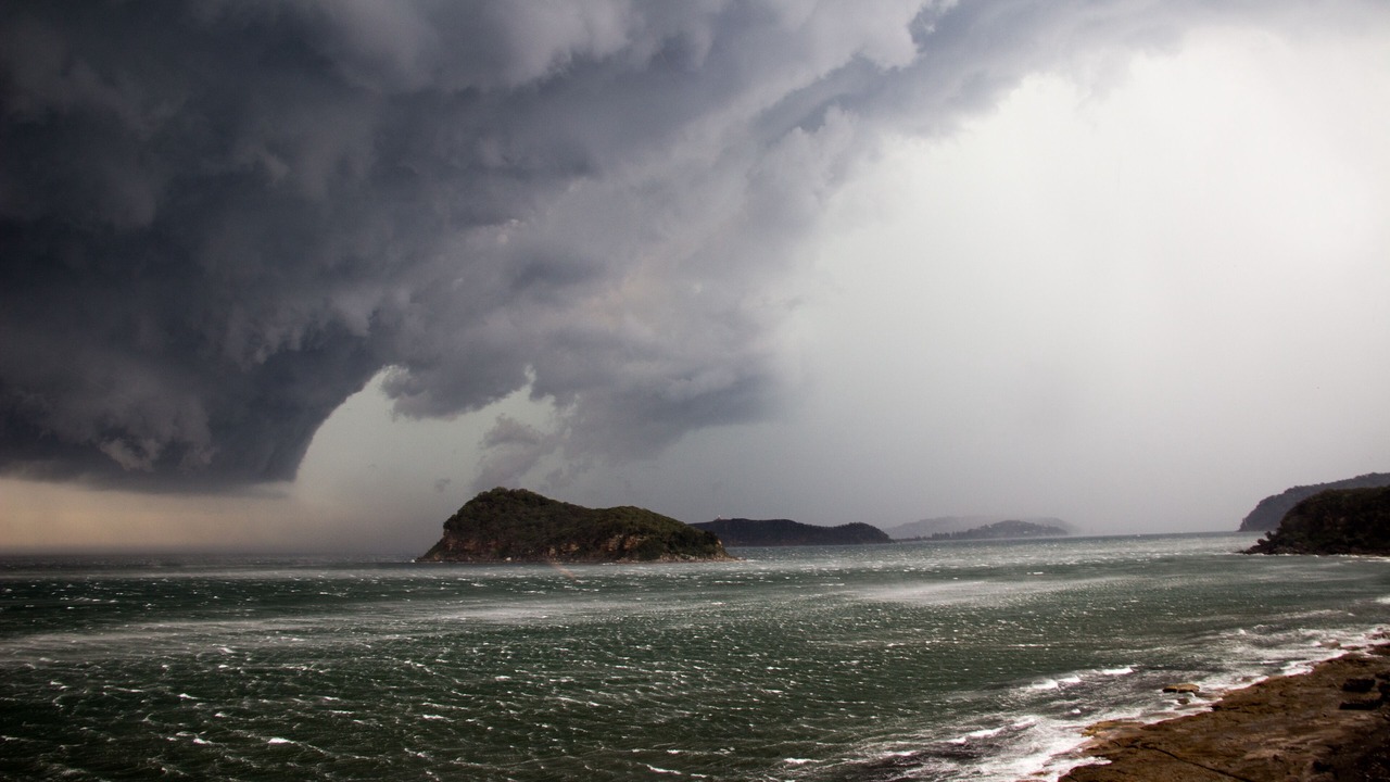 Photo of Others in Pearl Beach