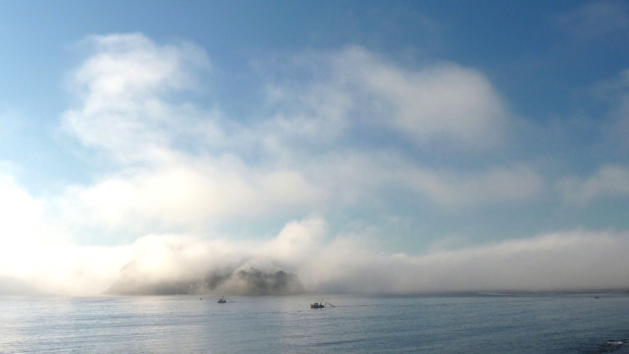 Photo of Others in Pearl Beach