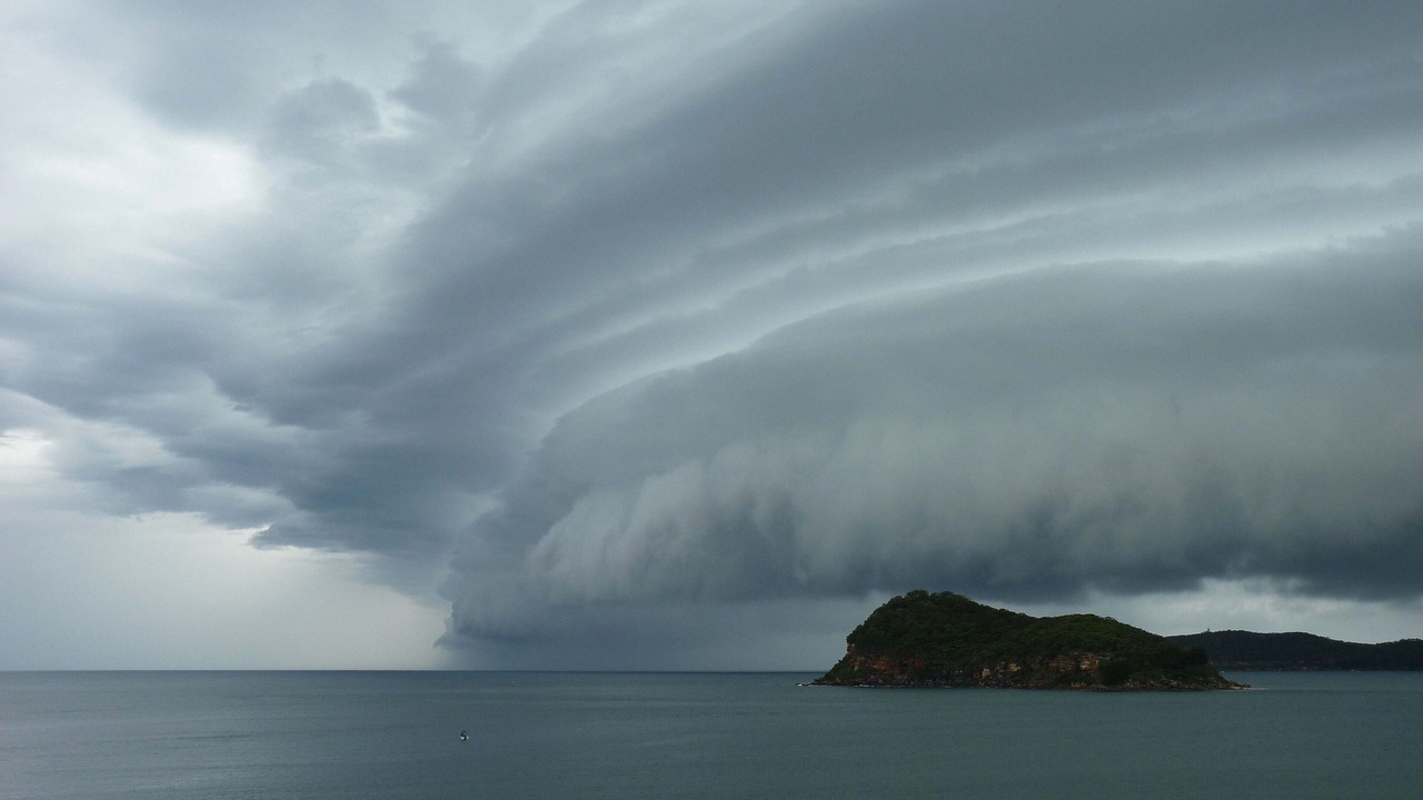 Photo of Others in Pearl Beach