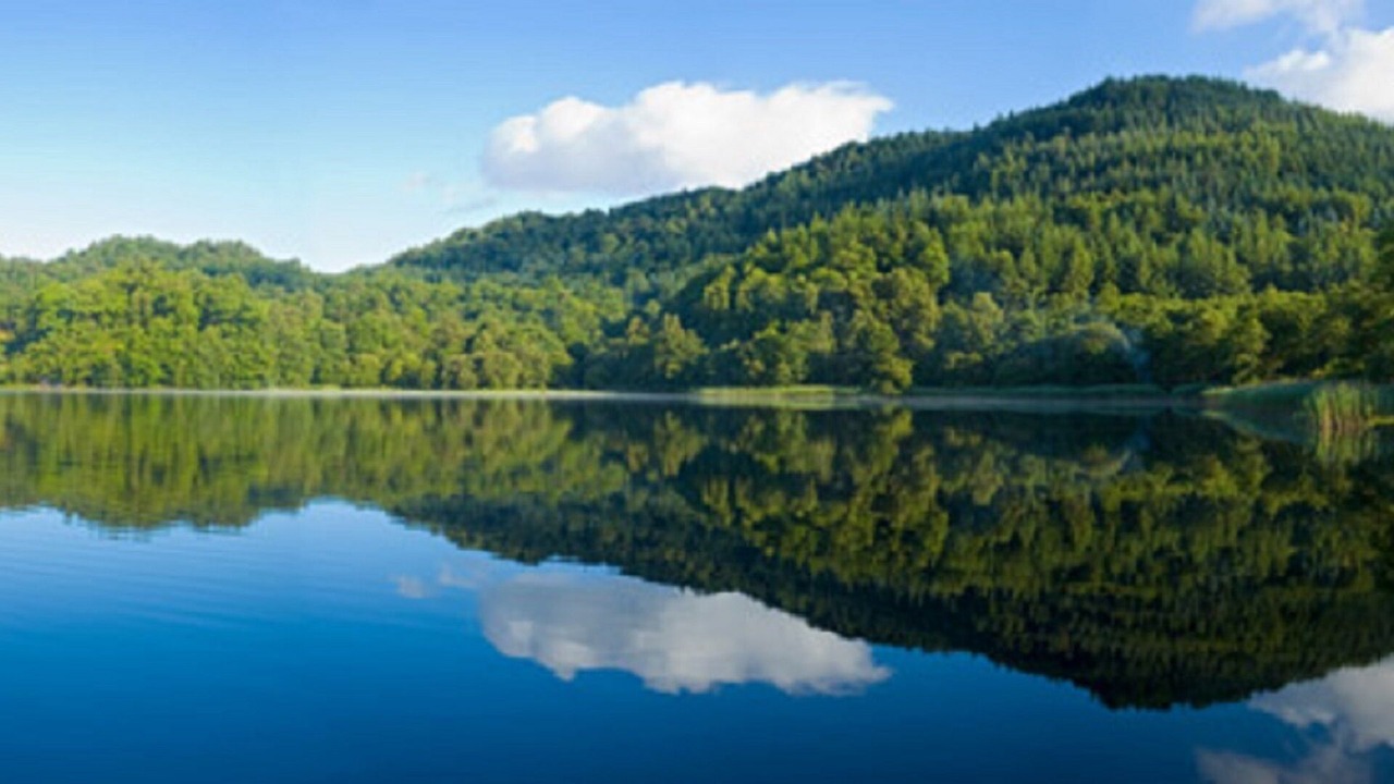 Photo of Outdoor in Shawnee On Delaware