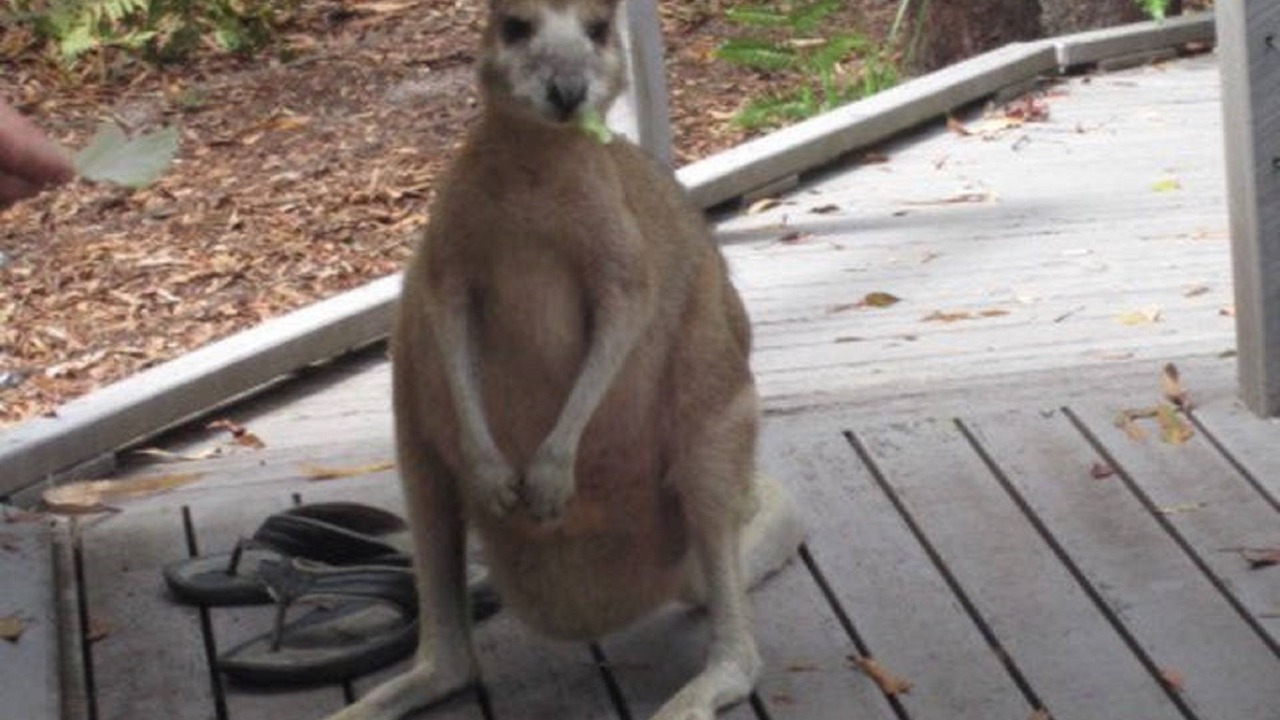 Photo of Outdoor in Gold Coast