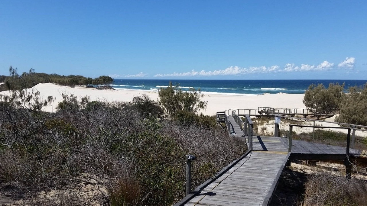 Photo of Others in Gold Coast