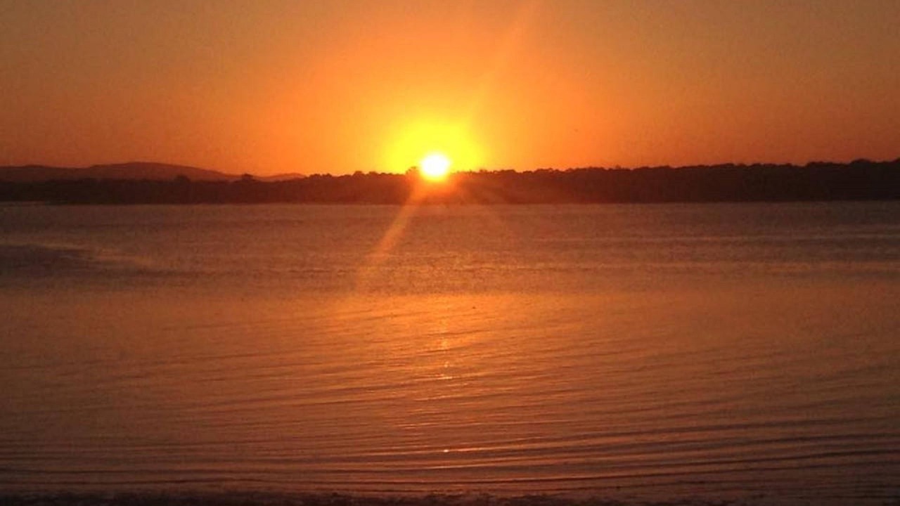 Photo of Others in Gold Coast