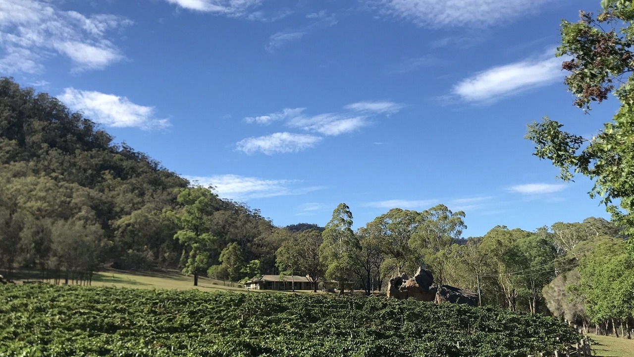 Photo of Others in Broke