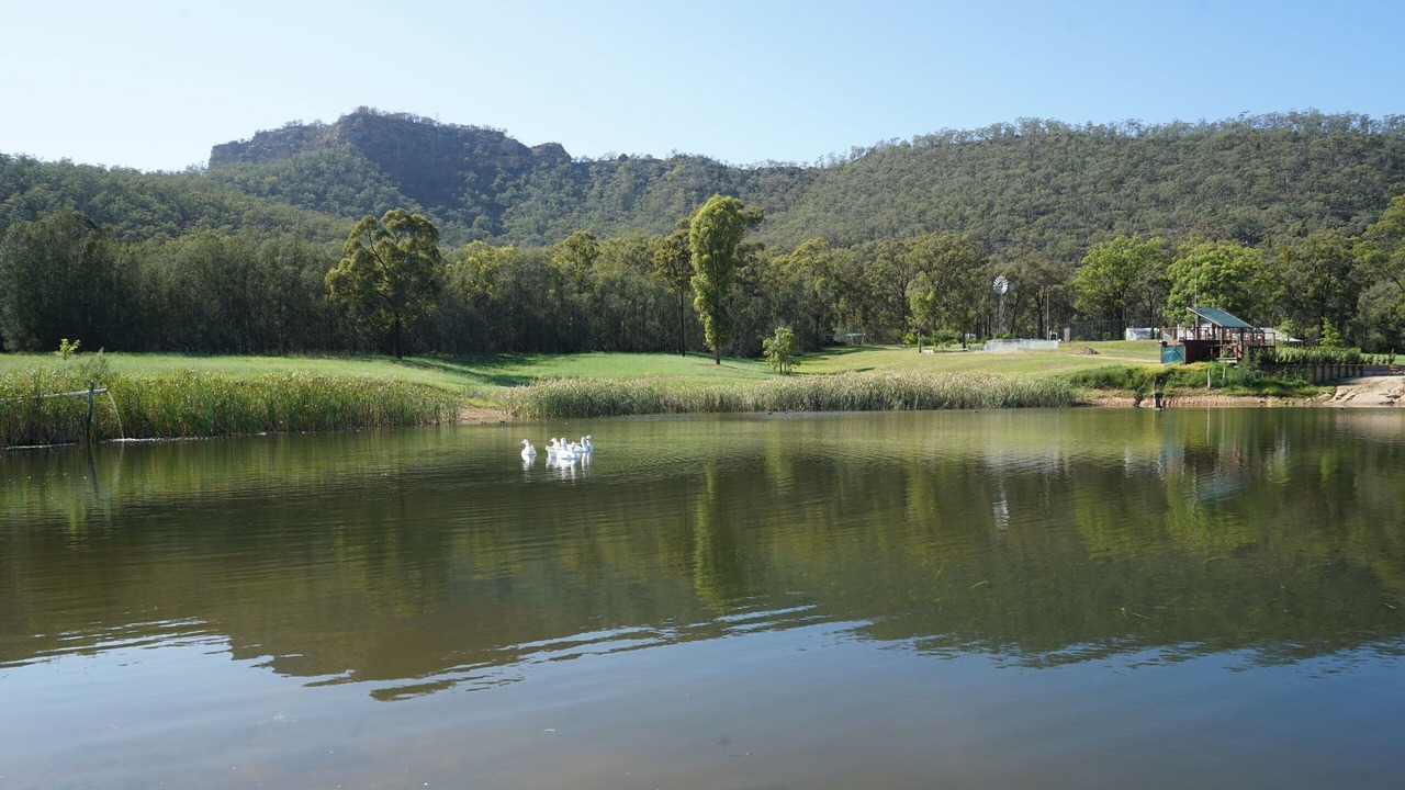 Photo of Others in Broke