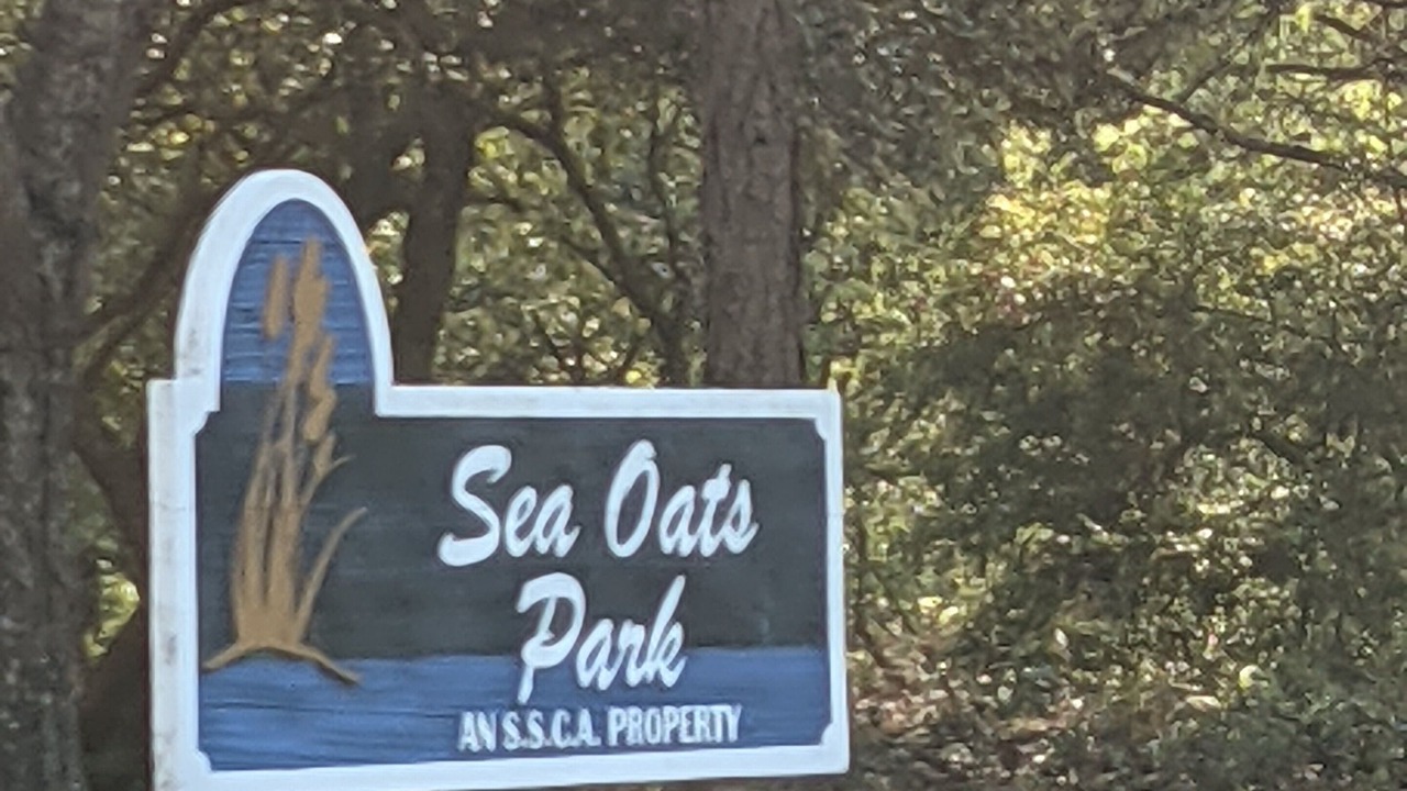 Photo of Others in Southern Shores