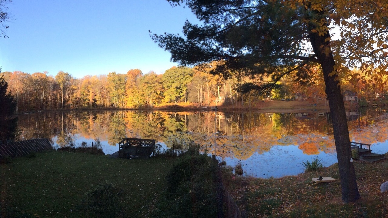 Photo of Outdoor in Pine Bush