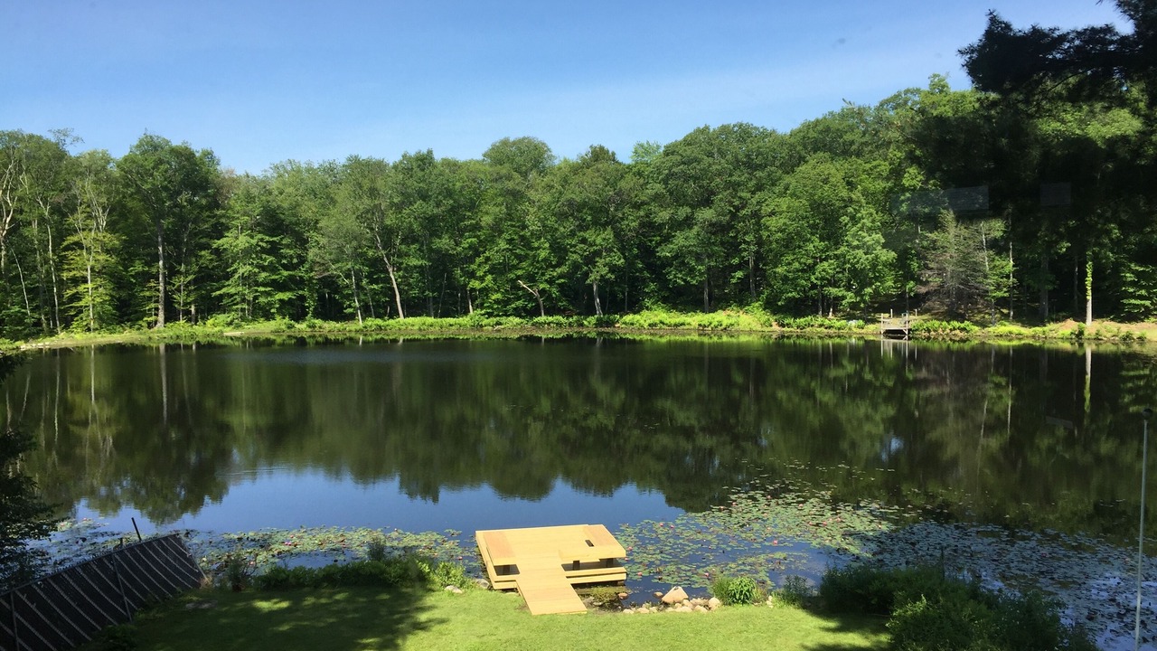 Photo of Outdoor in Pine Bush