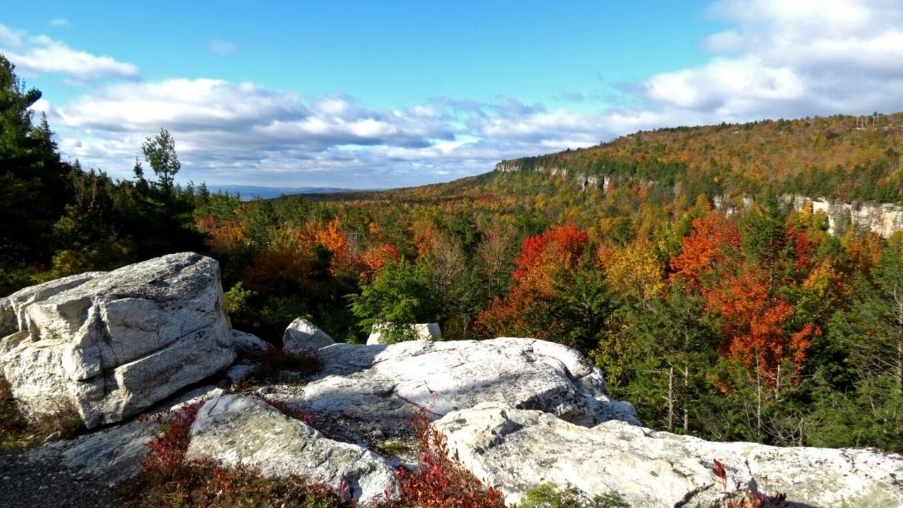 Photo of Outdoor in Pine Bush