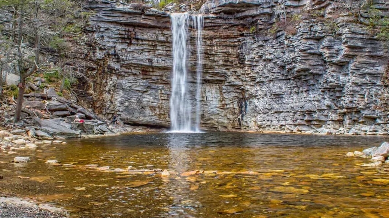 Photo of Outdoor in Pine Bush