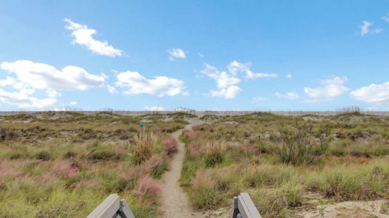 Photo of Others in Isle of Palms