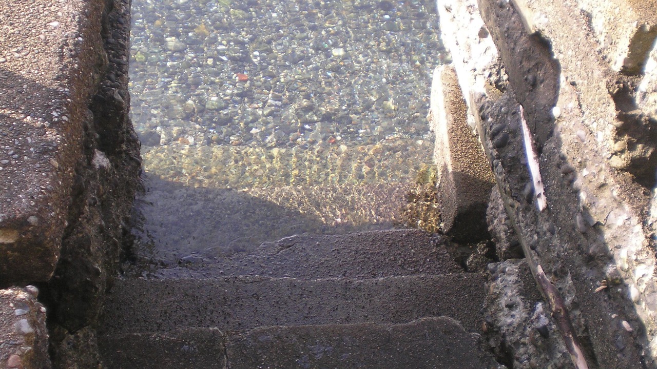 Photo of Others in Vashon Island