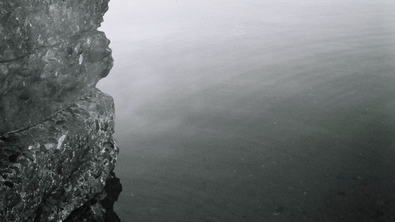 Photo of Others in Vashon Island