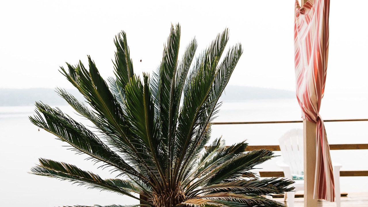 Photo of Patio Balcony in Vashon Island