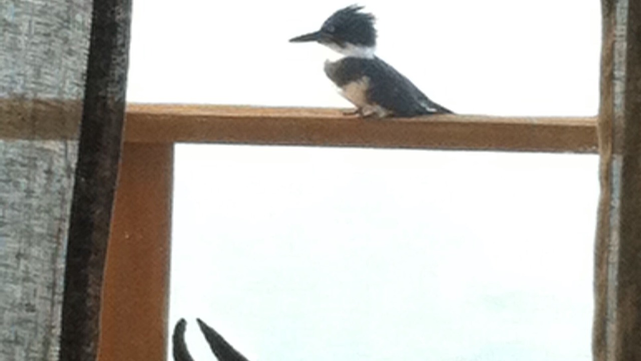 Photo of Others in Vashon Island