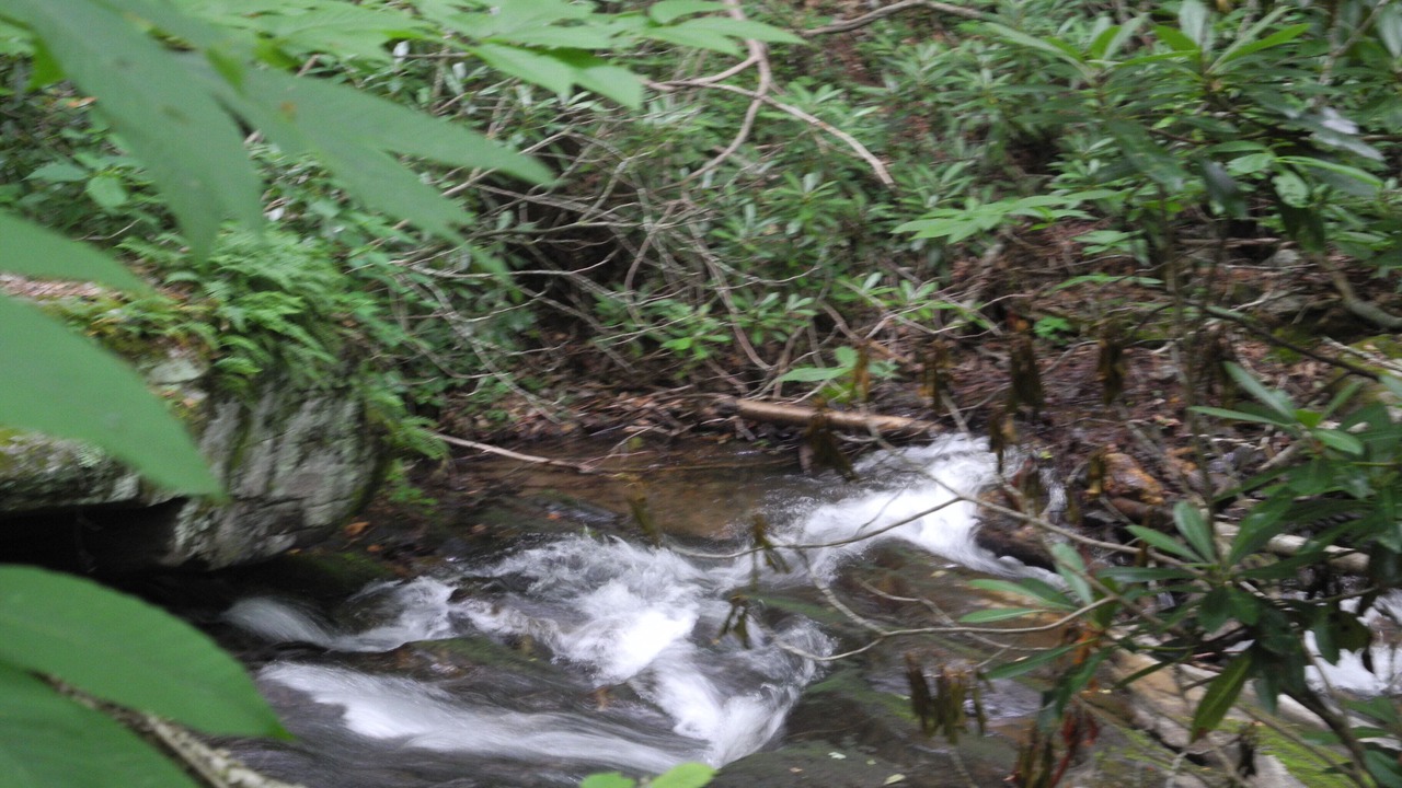 Photo of Outdoor in Boone