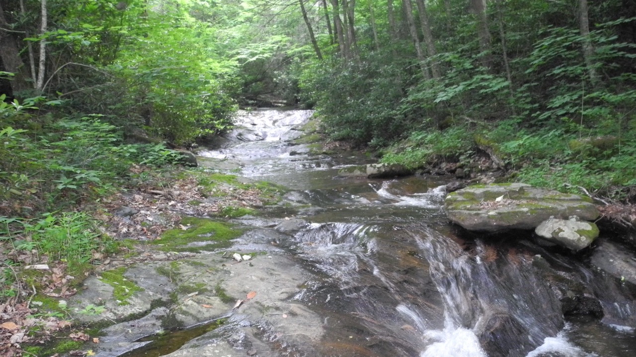 Photo of Others in Boone
