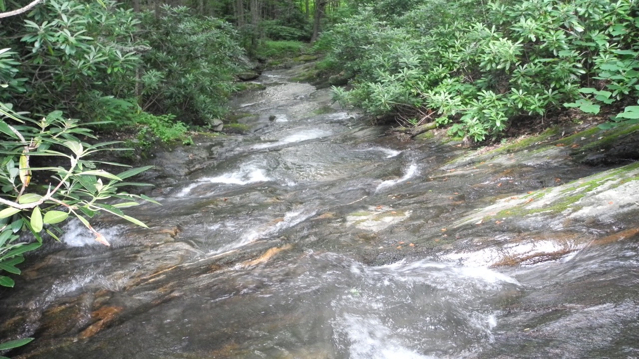 Photo of Others in Boone