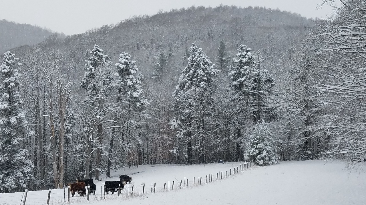 Photo of Outdoor in Boone