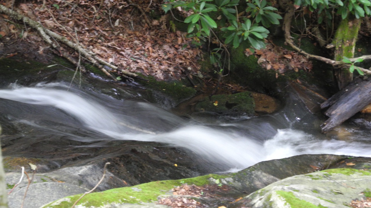 Photo of Others in Boone