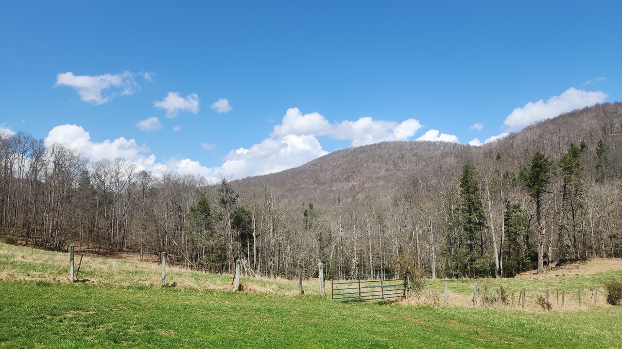 Photo of Others in Boone