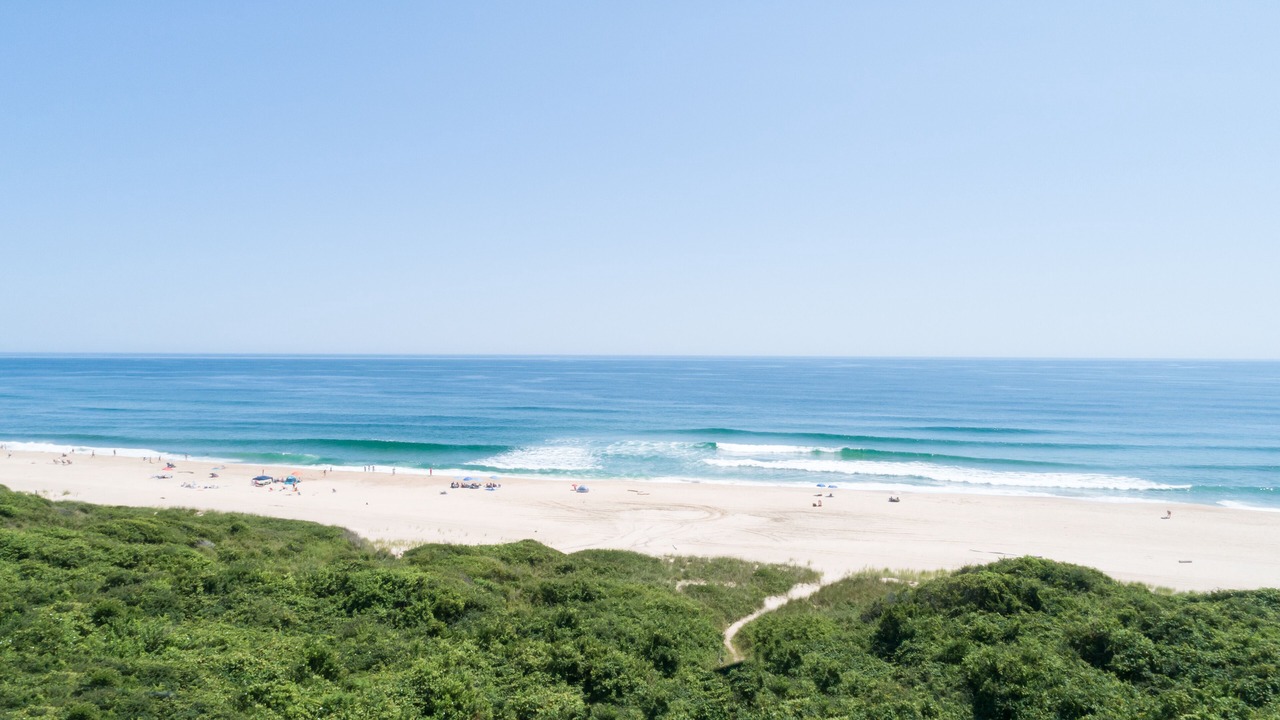 Photo of Others in Montauk