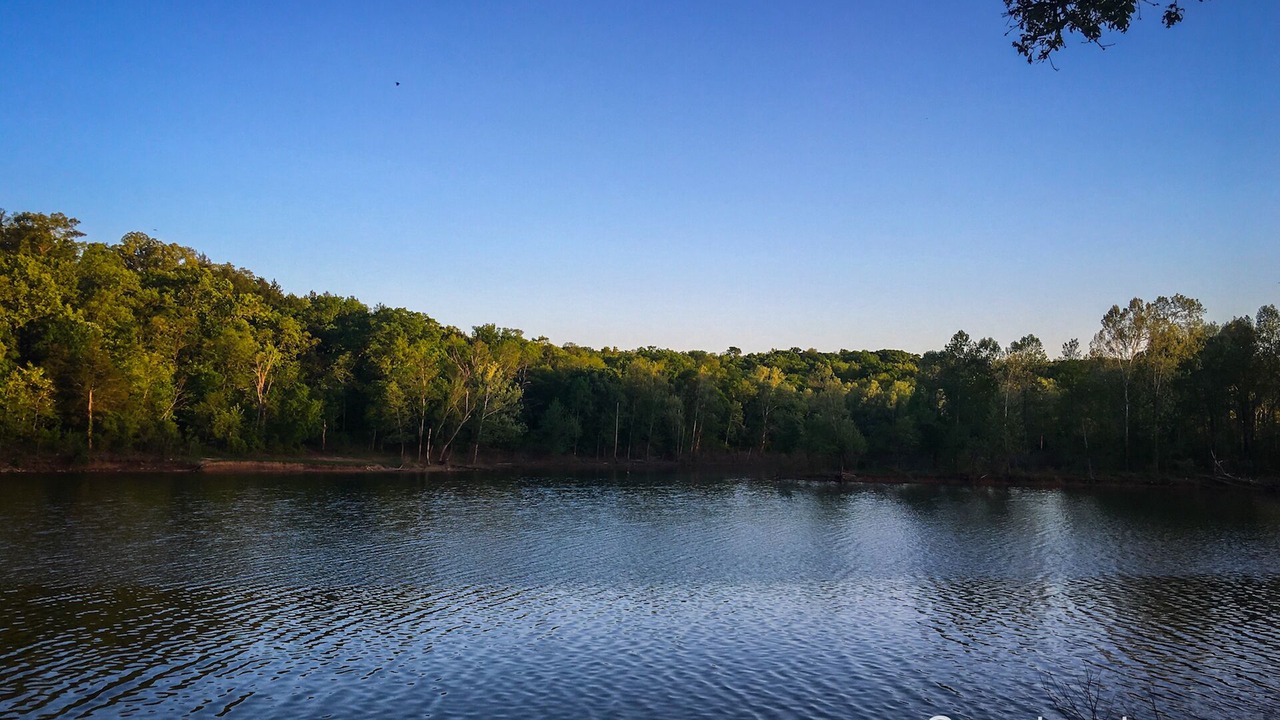 Photo of Outdoor in Golden