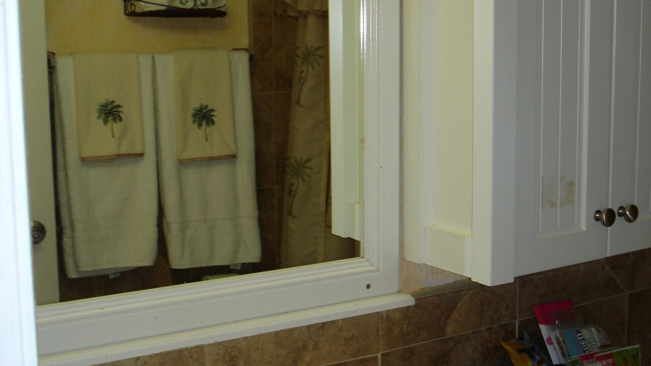 Photo of Bathroom in Lenox Park