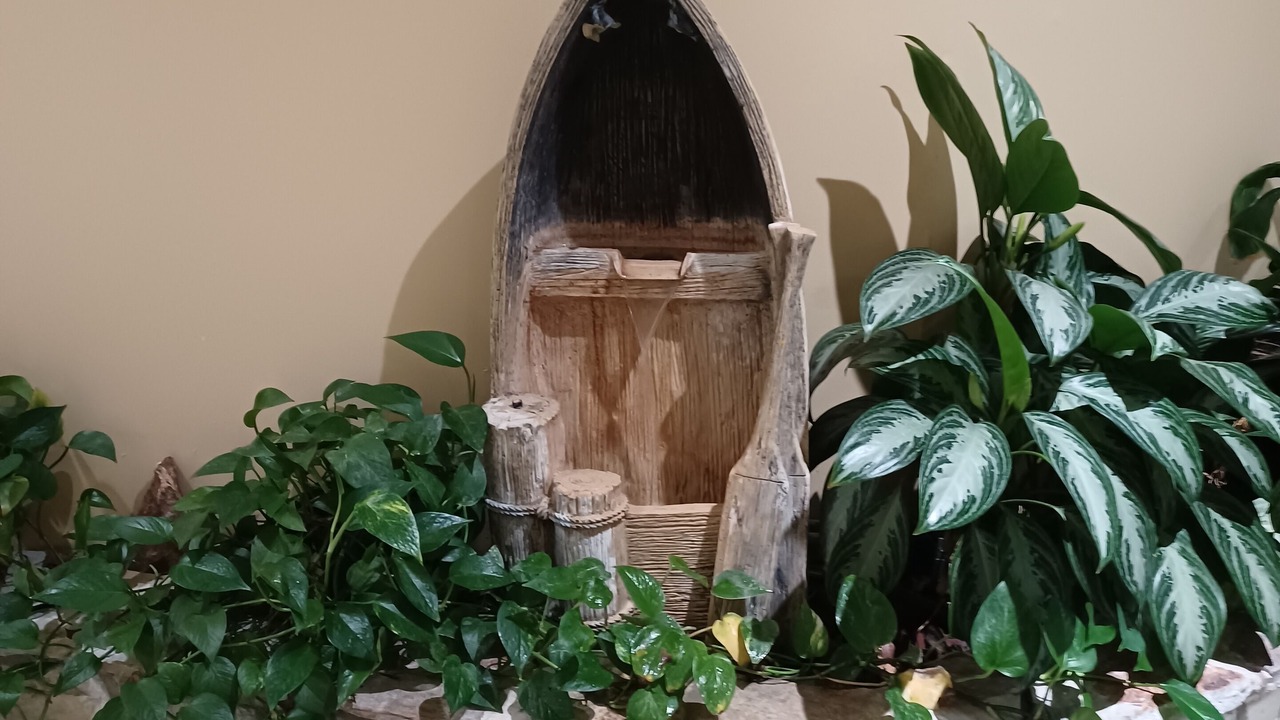 Photo of Others in Lenox Park