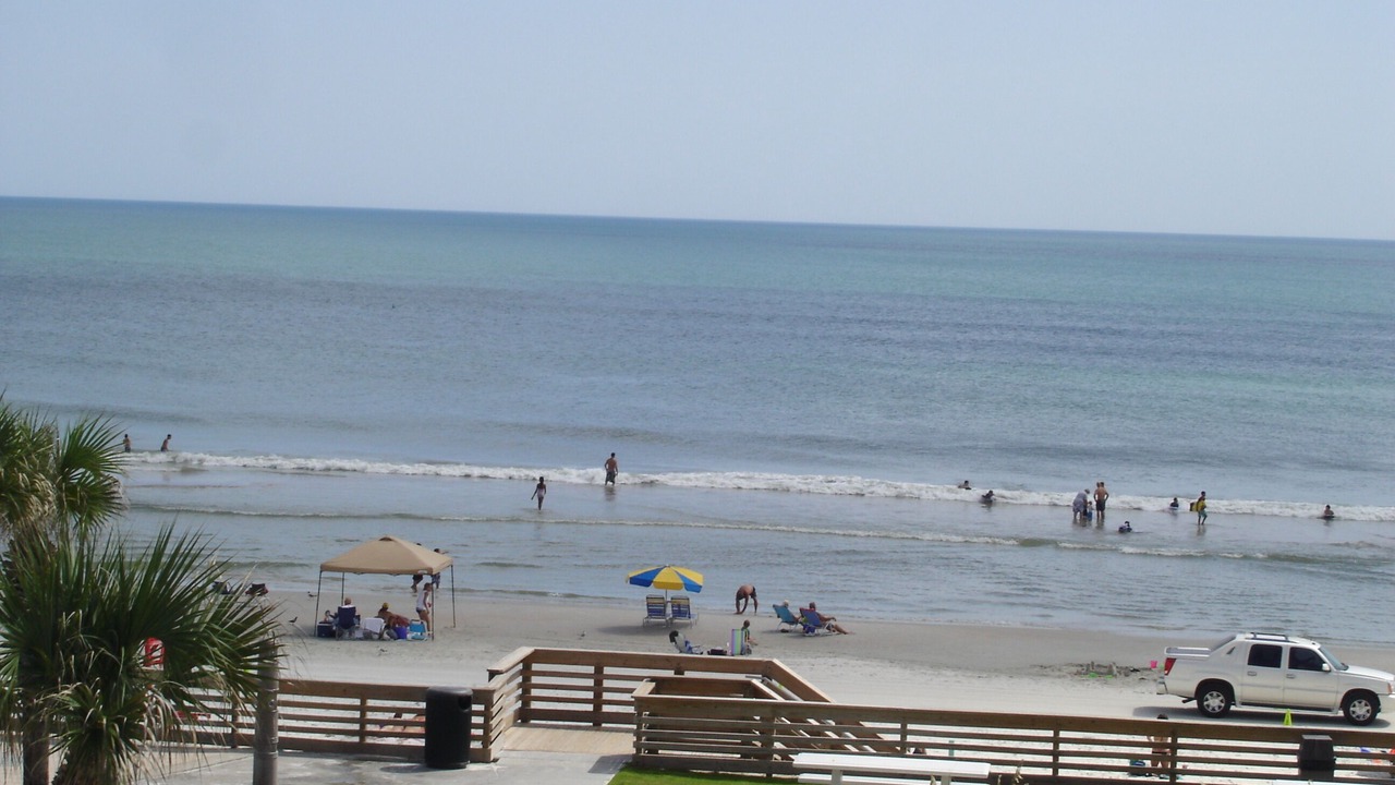 Photo of Others in Lenox Park