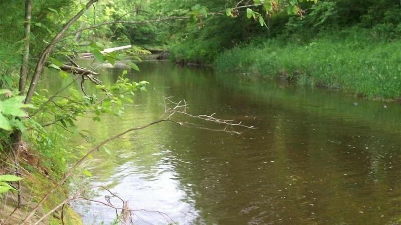 Photo of Others in Black River Falls