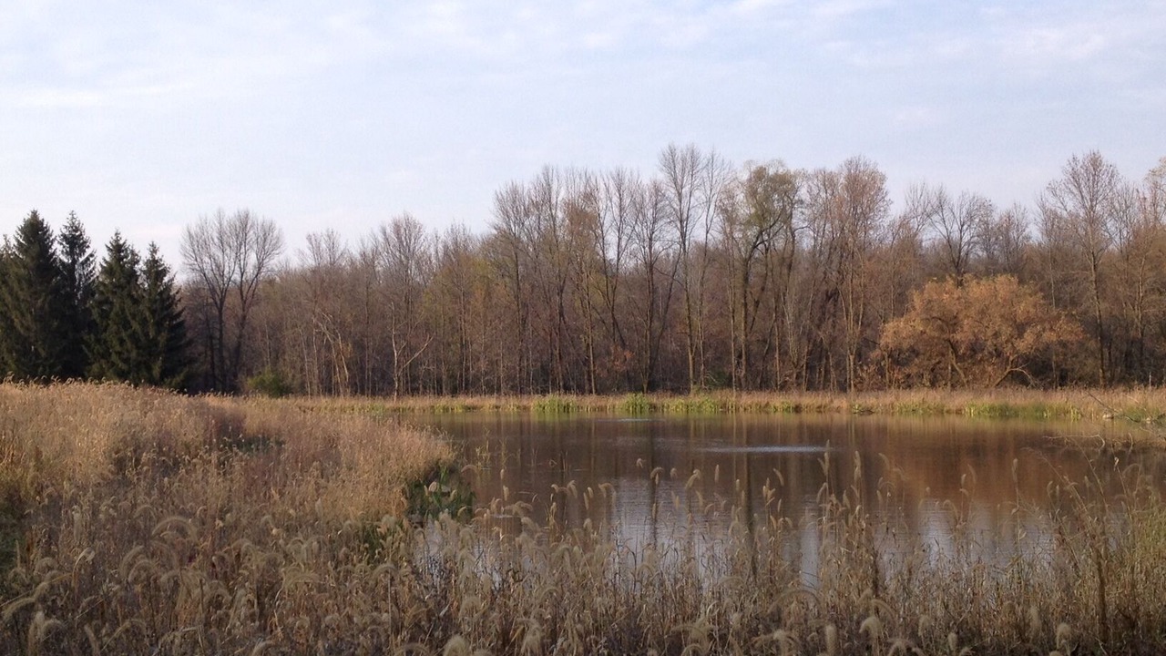 Photo of Others in Ripon