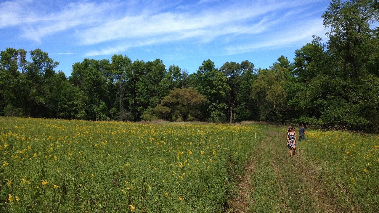 Photo of Others in Ripon