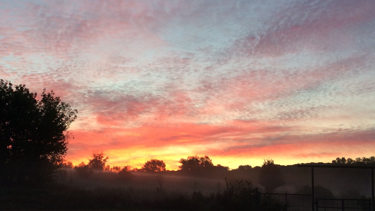 Photo of Others in Ripon